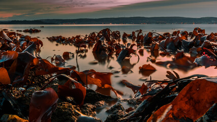 Beauty of the nature. Long exposure photos of low tide