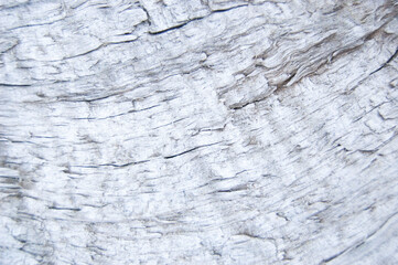 old wooden fence. wood background. planks texture, cracked paint, white