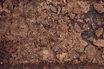 dirt texture on the ground