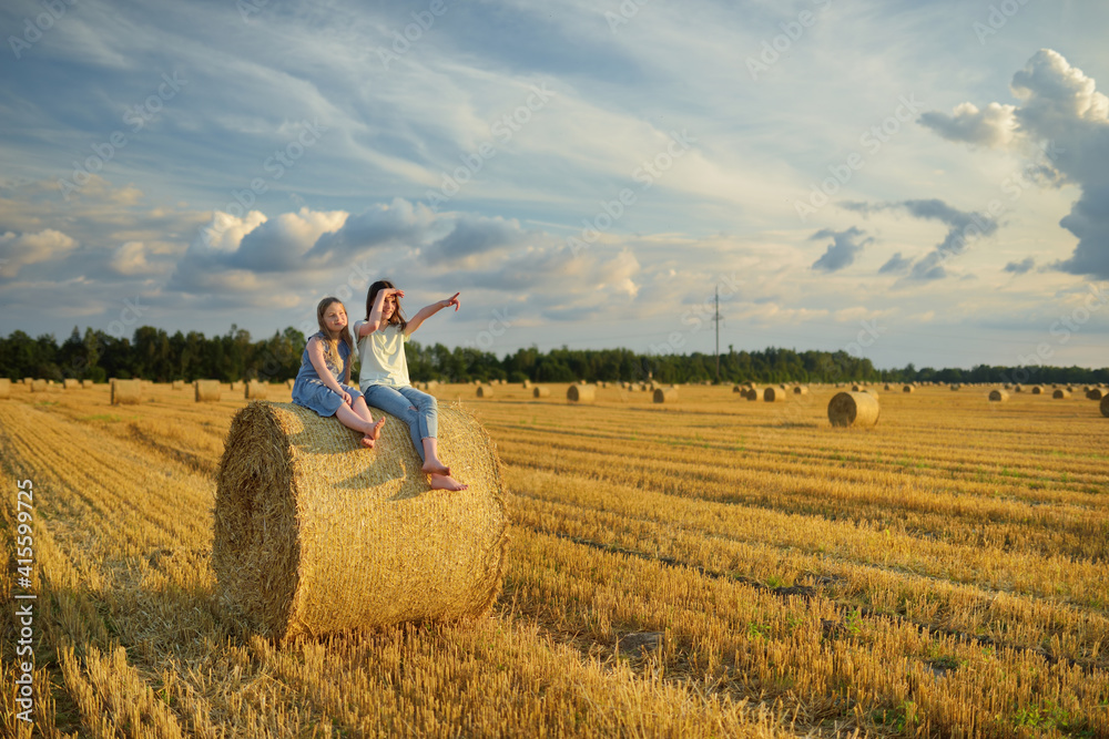 Wall mural adorable young sisters having fun in a wheat field on a summer day. children playing at hay bale fie