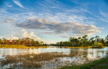  Webb Lake in Fred C Babcock Cecil M Webb Wildlife Management Area  in Punta Gorda Florida USA
