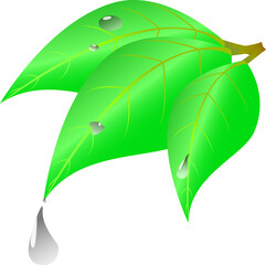 this is a image vector design. This vector can be used for clip art, logos, icons. etc. this design is simple design