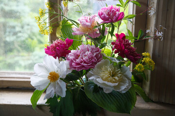 Bouquet of multi-colored peonies on a rustic window.