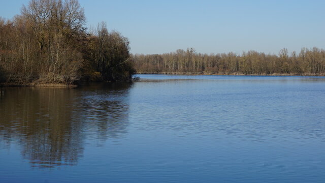 the nature reserve Auer Koepfle-Illinger Altrhein-Motherner Woerth in the community Au am Rhein in the region Baden-Wuerttemberg in the month of February, Germany