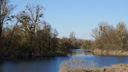 the nature reserve Auer Koepfle-Illinger Altrhein-Motherner Woerth in the community Au am Rhein in the region Baden-Wuerttemberg in the month of February, Germany