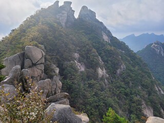 산 정상에서 바라본 멋진 풍경