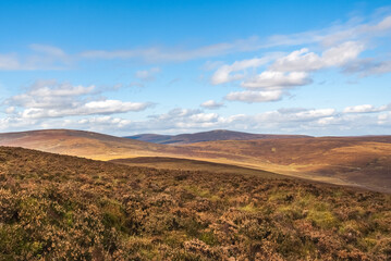 Wicklow Mountains National Park
