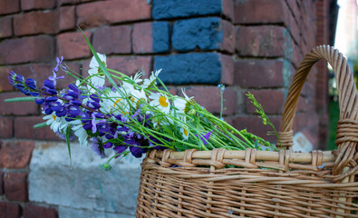 Beautiful bouquet of wildflowers in a basket, isolated against a brick wall background