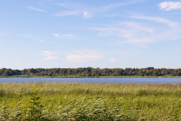 Saaler Bodden