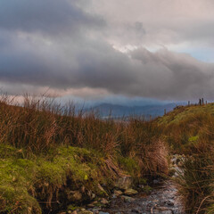 stream in the mountains