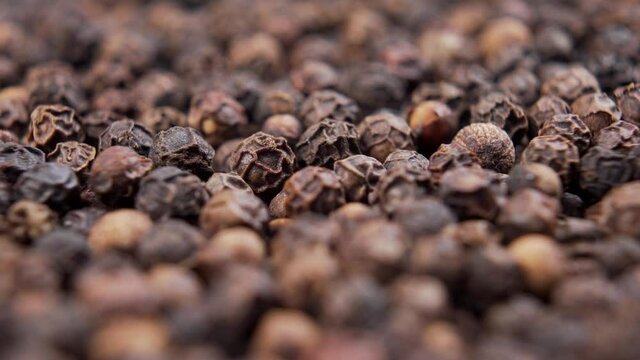 Dry peppercorn black pepper with wrinkled texture. Macro. Hot spices. Dolly Shot