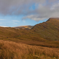 landscape in the morning