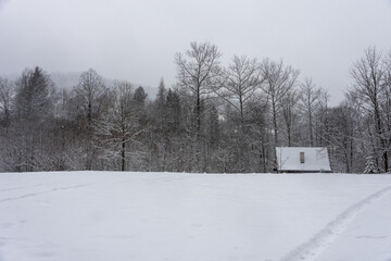 Typical winter landscape in Poland. House in the forest, roof covered with snow. Snowflakes falling. Selective focus. 