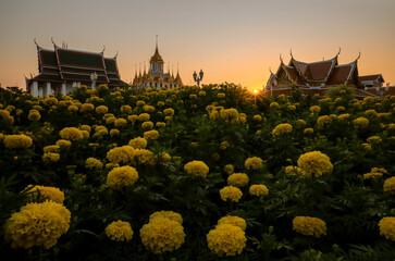 Beautiful sky and Wat Ratchanatdaram Temple in Bangkok, Thailand. Thai architecture: Wat Ratchanadda, Loha Prasat and Traditional Thai pavilion is among the best of Thailand's landmarks.