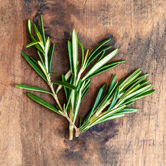 Fresh rosemary herb on wooden  background. Top view rosemary with  copy space..