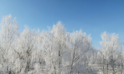 Obraz na płótnie Canvas Aerial view of frozen trees on a background of blue sky. All trees are covered with ice and hoarfrost