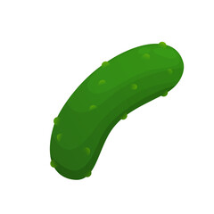 Cucumber fresh vegetable  concept. Healthy diet flat style illustration. Isolated green food, can be used in restaurant menu, cooking books and organic farm label