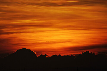 Fototapeta premium sunset in the desert