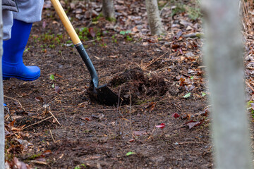 shovel in the garden