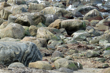 Background: masses of grey stones lying on the beach
