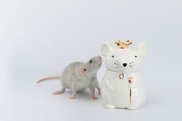 A decorative grey cute rat stands next to a porcelain figurine in the shape of a rat wearing a royal golden crown.