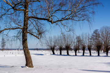 Zimowy krajobraz Podlasia , Polska