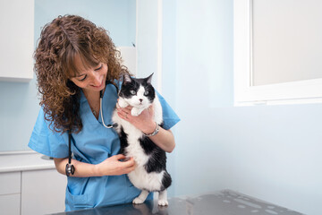 Smiling professional veterinarian holding a beautiful cat after examination. High quality photo