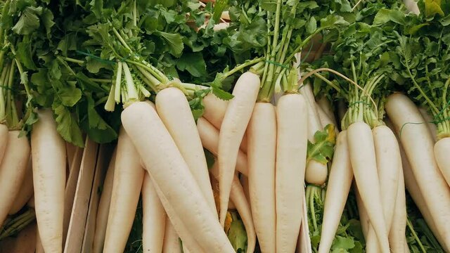 Mooli or Daikon, Raphanus sativus, displayed on a market stall