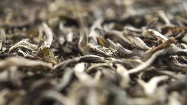 Dried leaves of white organic bio natural tea. Macro. Falling in slow motion. Dolly Shot