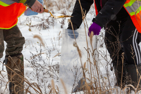 Taking  soil sample in winter