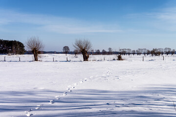 Zimowy krajobraz Podlasia , Polska