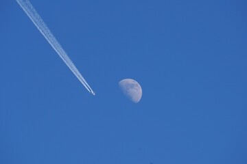 Mond