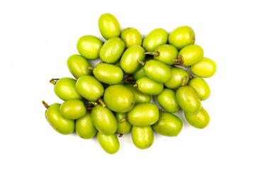 Medicinal Neem fruits isolated on white background, Top view. Neem fruit is an excellent moisturizing and contains various compounds that have insecticidal and medicinal properties.