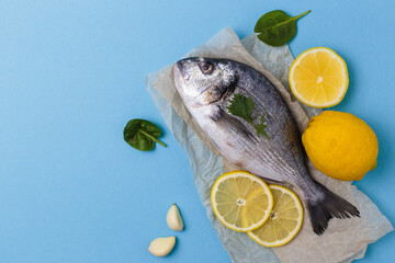 Raw dorado fish on baking paper with ingredients for cooking lemon, garlic and basil on blue background