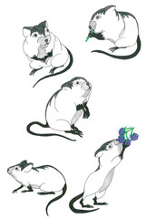 Isolated images of a white mouse with a black back