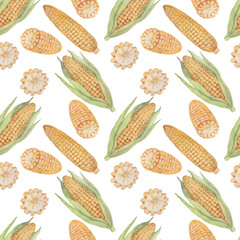 Corn cob grain leaves. hand-drawn watercolor illustration. Print textile matern seamless vintage retro sketch. Agriculture farm harvest