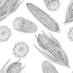 Corn cob grain leaves. hand-drawn watercolor illustration. Print textile matern seamless vintage retro sketch. Agriculture farm harvest