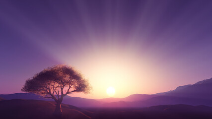Naklejka na ściany i meble sunset at meadow and lonely tree