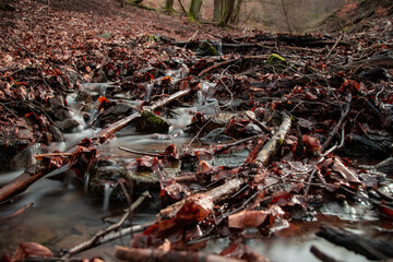 Landscape photo of a small stream that meanders through the forest in autumn