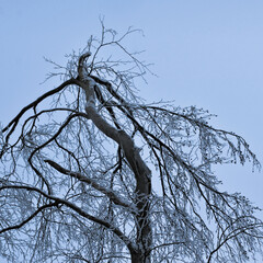 Frozen motion