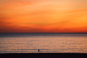 sunset on the beach