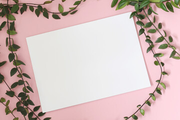 blank paper sheet on pink background with long green plant around