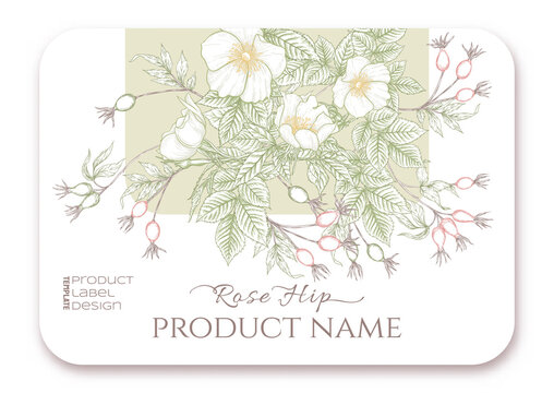 Rose hips with flowers and berries. Template for product label, cosmetic packaging. Easy to edit. Graphic drawing, engraving style. Vector illustration.