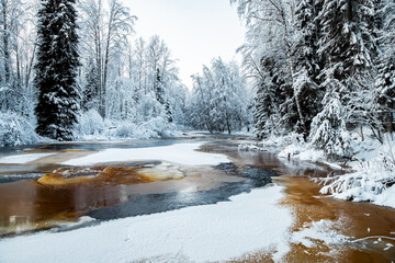 The wild frozen small river in the winter wood, the wild nature at sunset, the river of red color, ice, snow-covered trees