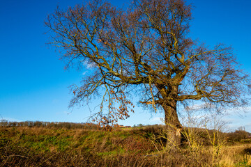 Walking in my city , sinai park burton on trent england