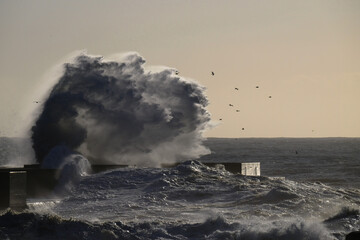 big wave during a storm in Porto, Portugal - 415617349