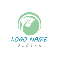 Mint leaves flat vector color icon template illustration design