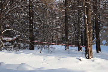 Red and white striped warning tape on a winter forest background. Limited access to the park during...