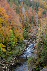 Couleurs d'automne au saut du Doubs, une chute de 27 mètres de hauteur sur le Doubs, à Villers-le-lac, en Franche-Comté, à la frontière entre la France et la Suisse