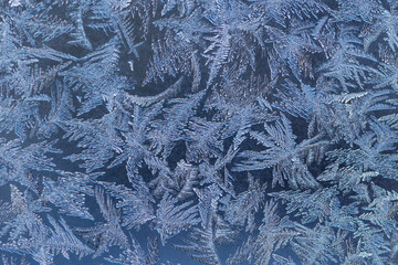 Beautiful patterns on frosty window